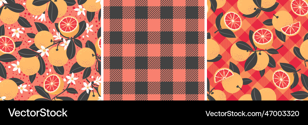 Grapefruit pattern seamless Grapefruit pattern seamless vector image