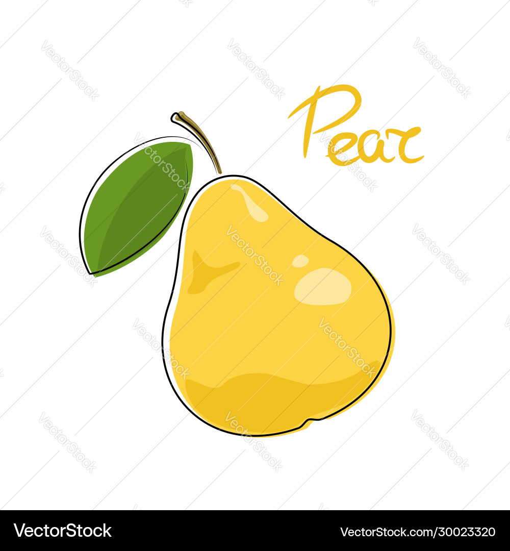 Pear isolated on white background Vector Image