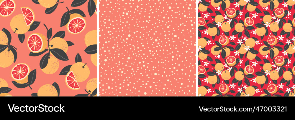 Grapefruit pattern set Grapefruit pattern set vector image