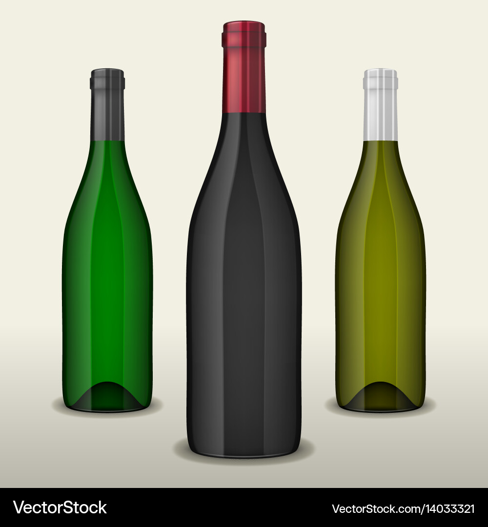 Set of three realistic wine bottles without Vector Image