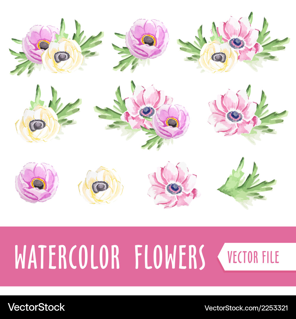 Watercolor flowers Royalty Free Vector Image - VectorStock