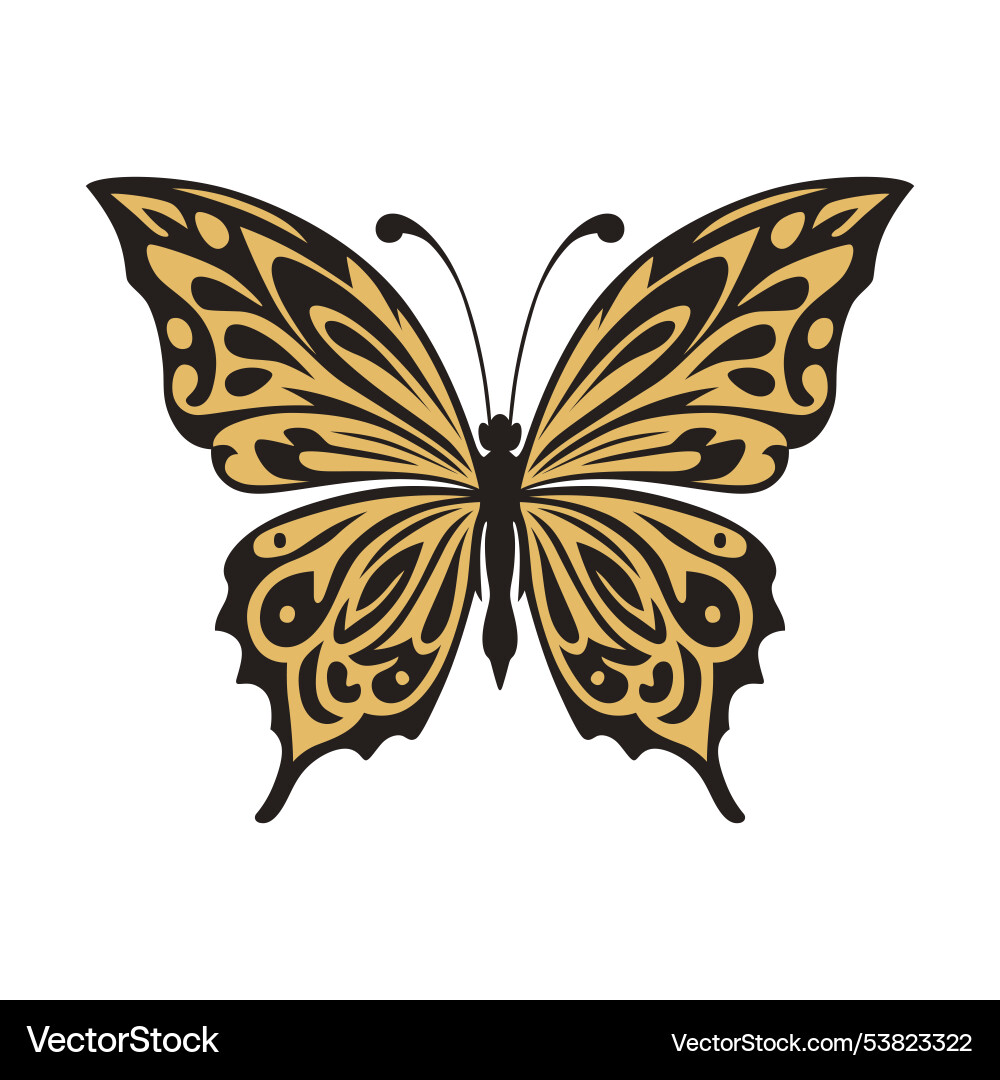 Schmetterling mit komplizierten schwarzen und goldenen Mustern Schmetterling mit komplizierten schwarzen und goldenen Mustern vektorbild