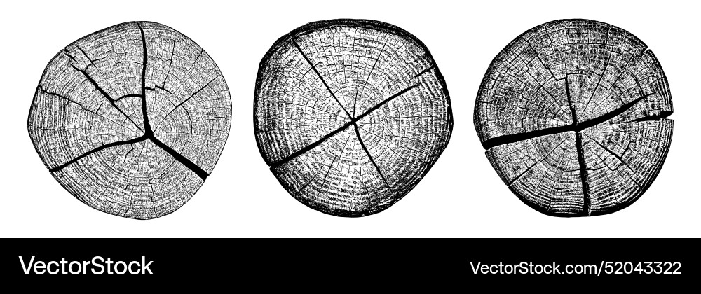 Set of distressed wood texture Vector Image