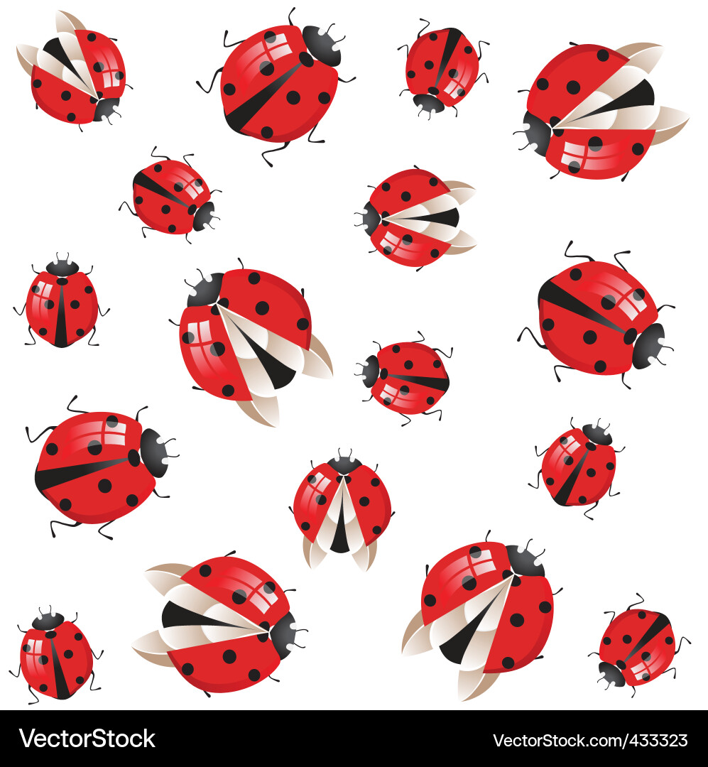 Adorable Ladybirds Vector Image