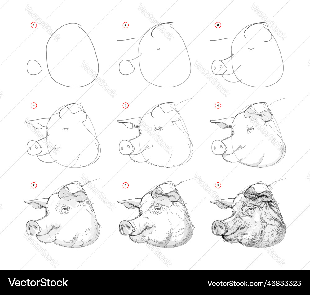 Page shows how to learn draw sketch the head Page shows how to learn draw sketch the head Vector Image