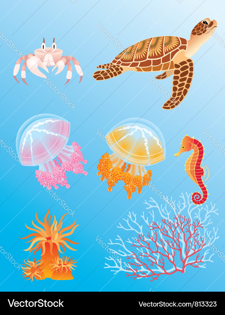Sea animals Royalty Free Vector Image - VectorStock