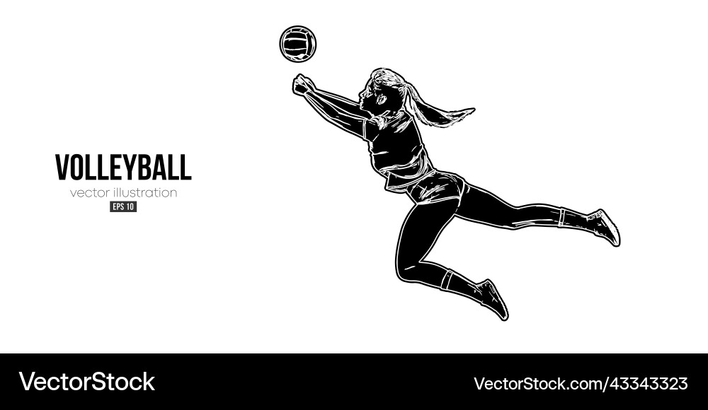 Volleyball Player Silhouette Vector Image