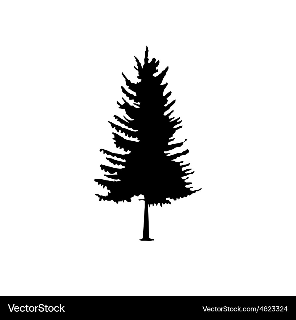 Coniferous trees silhouettes Vector Image