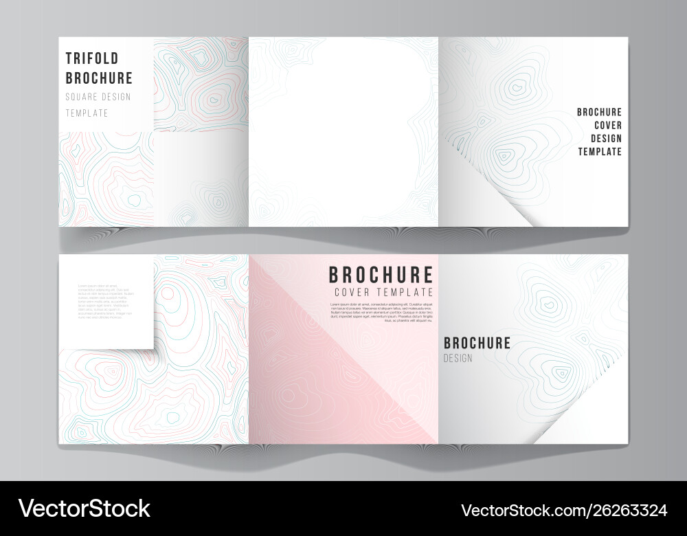 Minimal editable layout square Minimal editable layout square vector image
