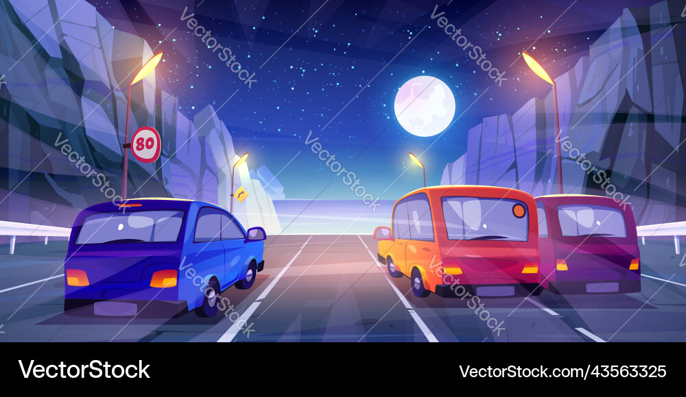 Cars driving at night mountain highway rear view vector image