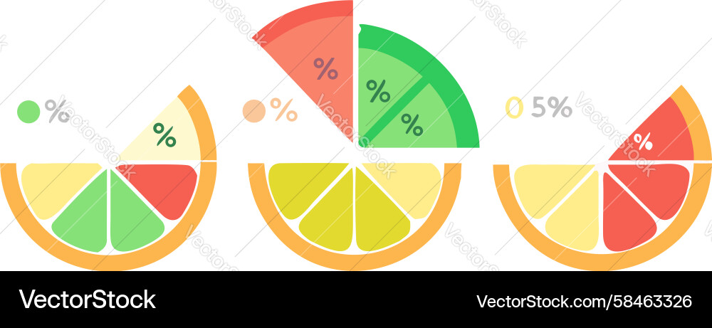 Citrus Data Slice Charts Vector Image