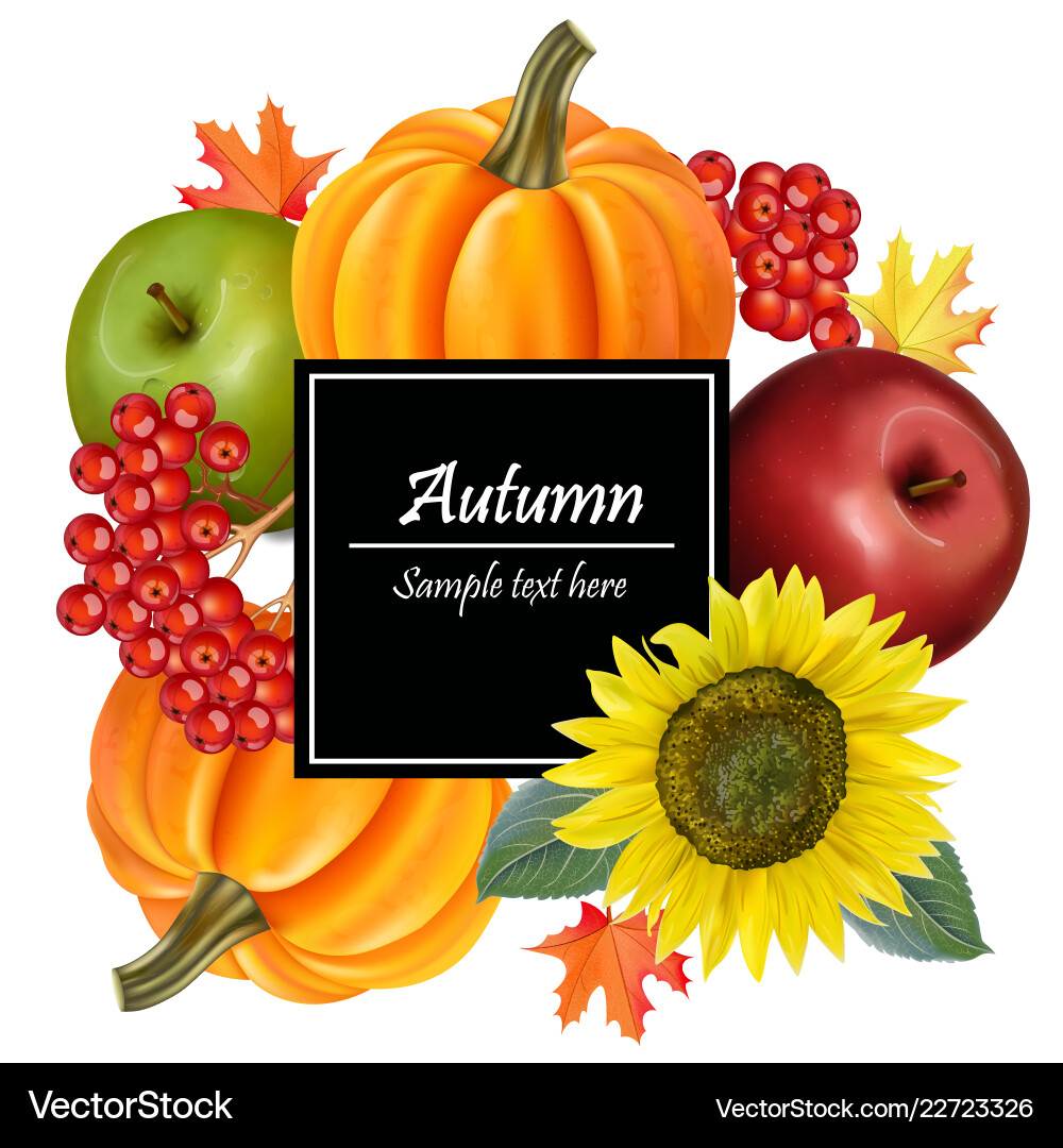 Herbst Ernte realistisch Sonnenblumenpumpkin Herbst Ernte realistisch Sonnenblumenpumpkin vektorbild
