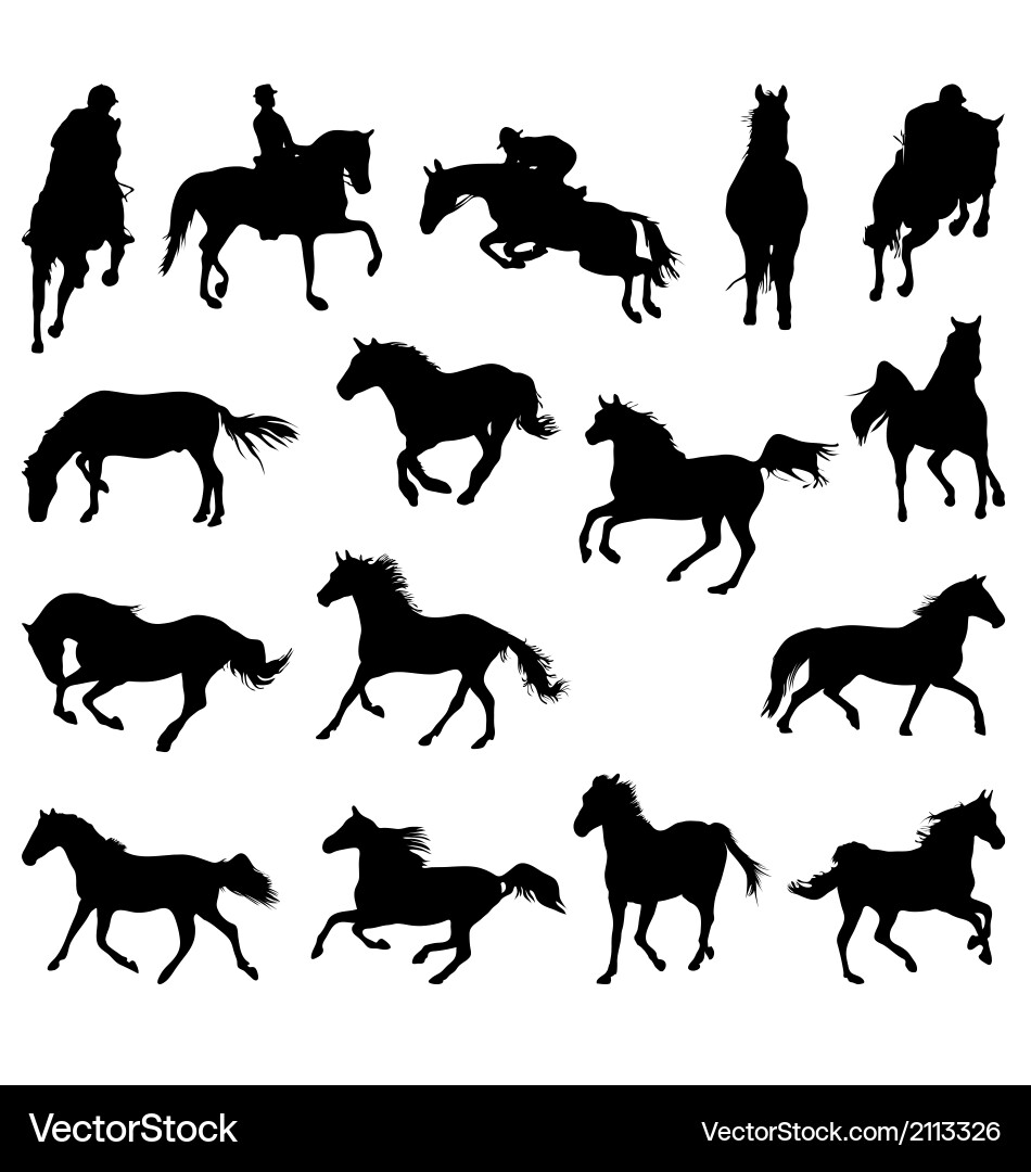 Horse Silhouettes Vector Image