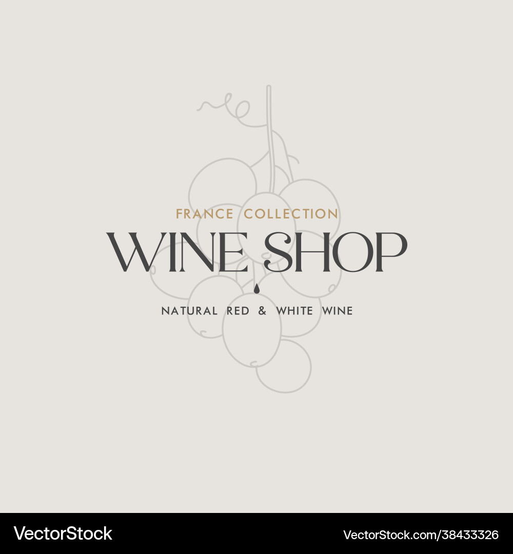 Linear grape branch Linear grape branch vector image