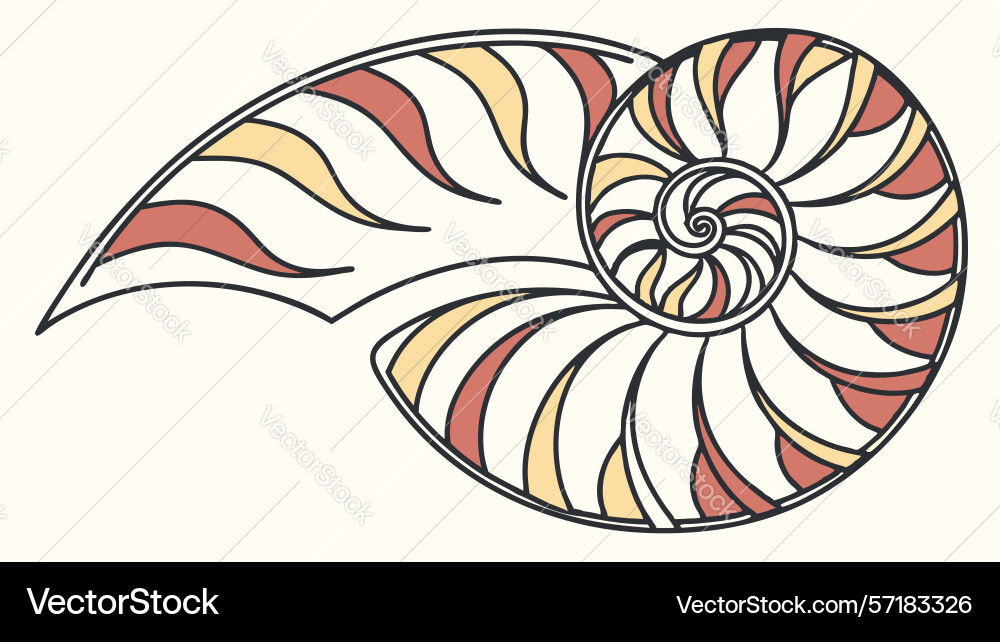 Nautilus shell pattern spiral geometric motif vector image