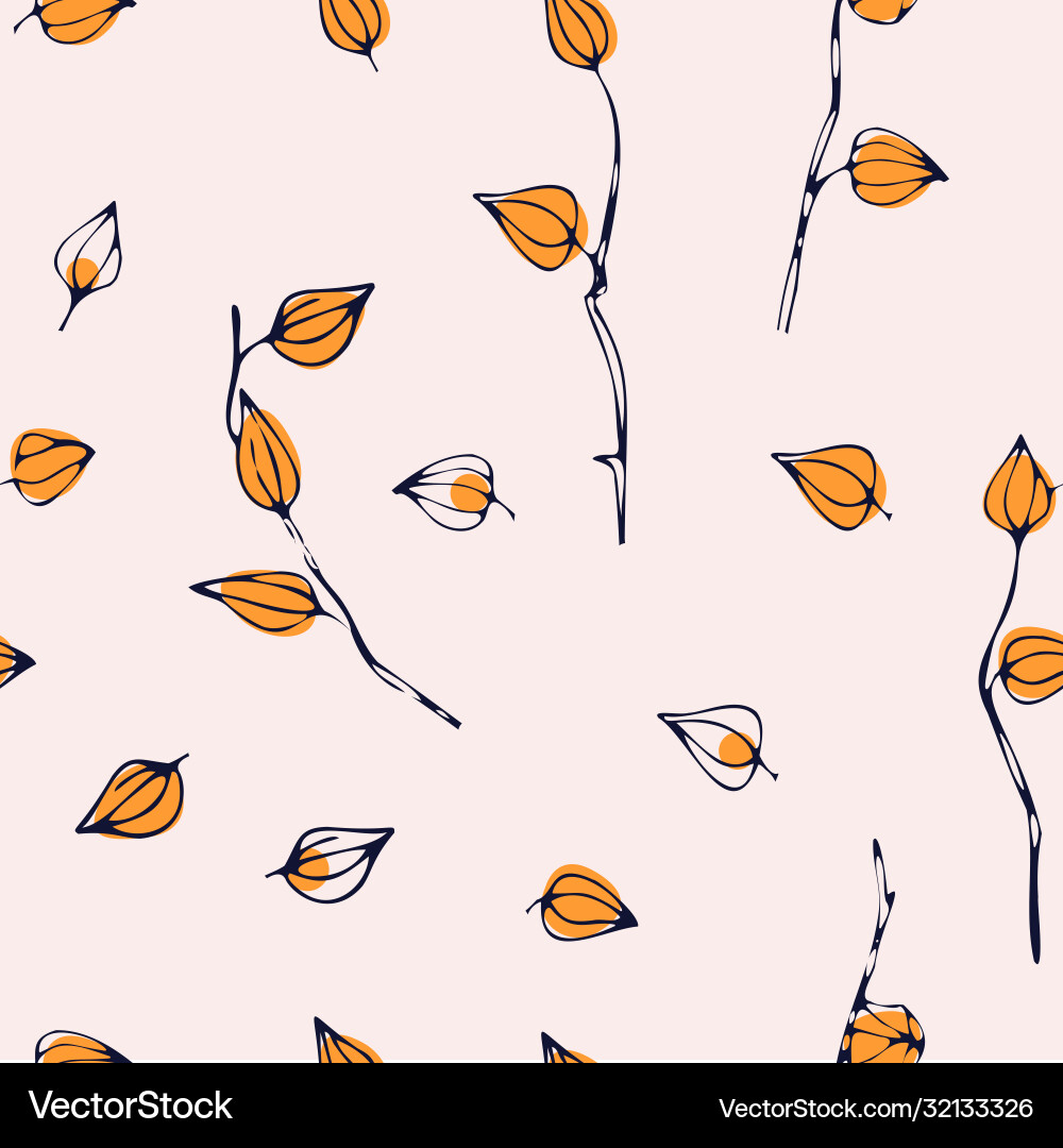 Physalis pattern isolated Physalis pattern isolated vector image