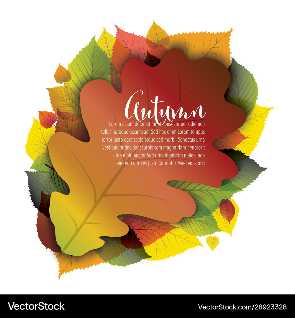 Herbst-Eiche Blatt Flyer Vorlage Herbst-Eiche Blatt Flyer Vorlage vektorbild