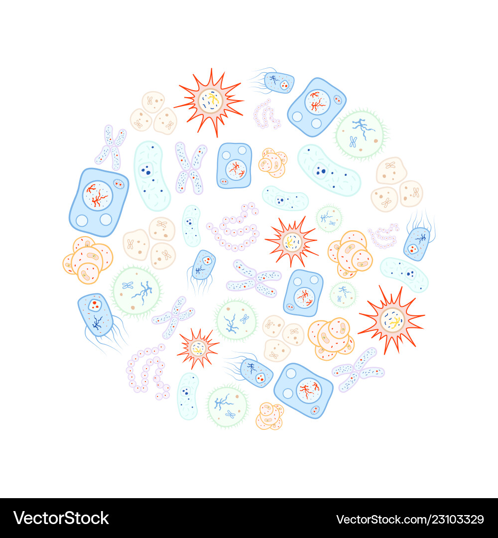Set of bright colorful biology cells bacteria Set of bright colorful biology cells bacteria vector image