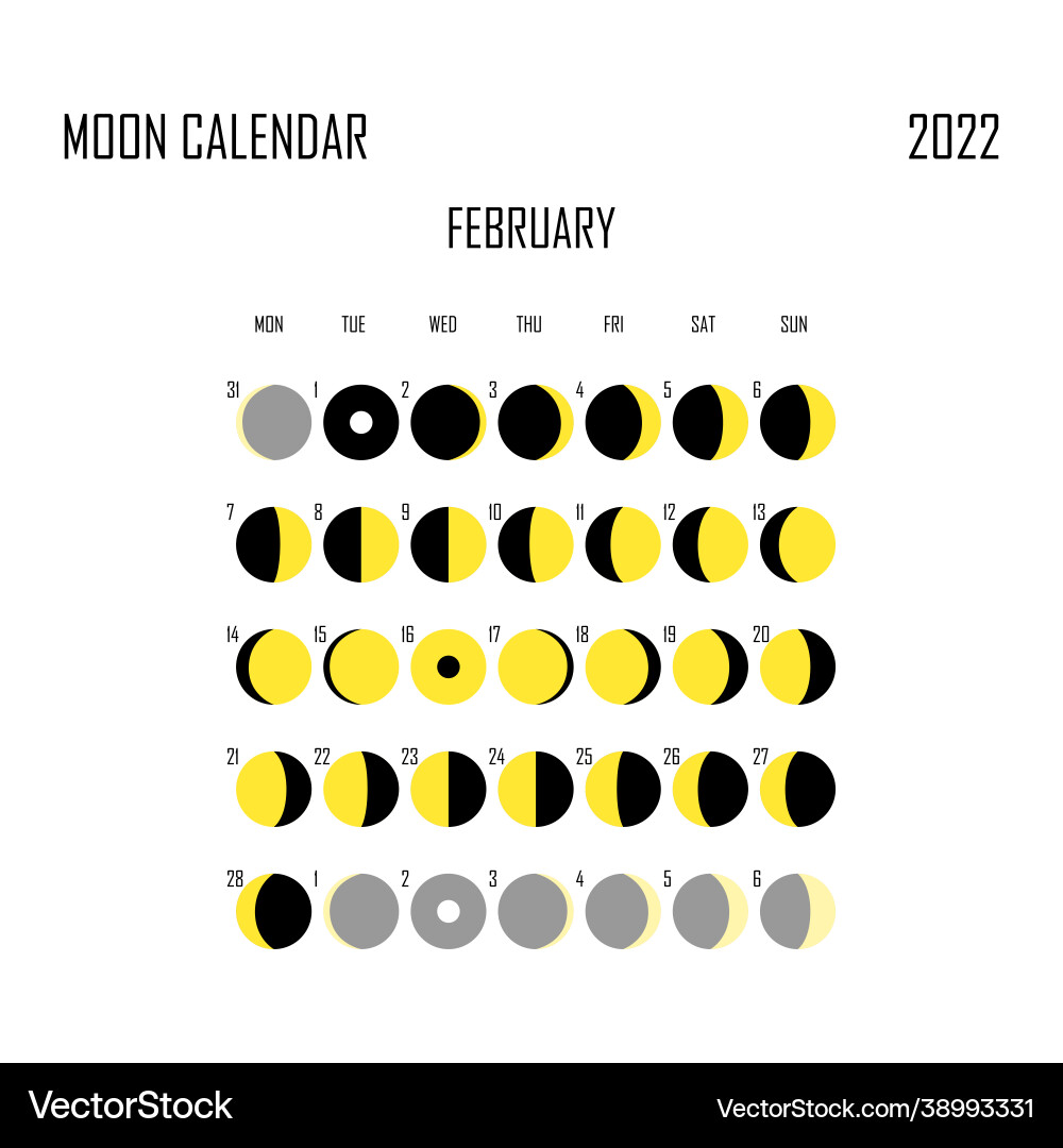 February 2022 moon calendar astrological February 2022 moon calendar astrological vector image