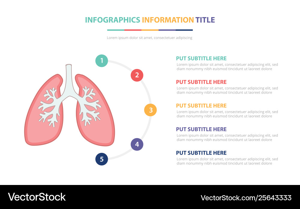 Menschliche Lungenanatomie Infografik Vorlage Konzept Menschliche Lungenanatomie Infografik Vorlage Konzept vektorbild