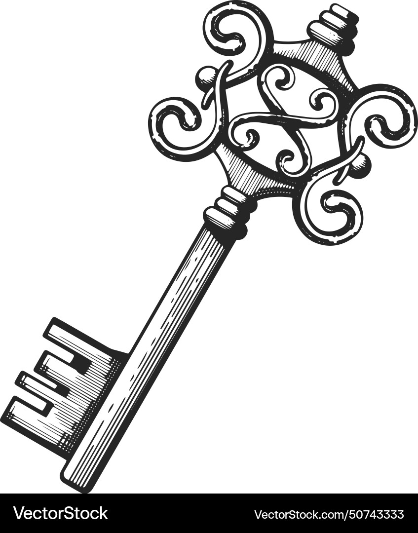 Skeleton key treasure metal symbol ornate Skeleton key treasure metal symbol ornate vector image