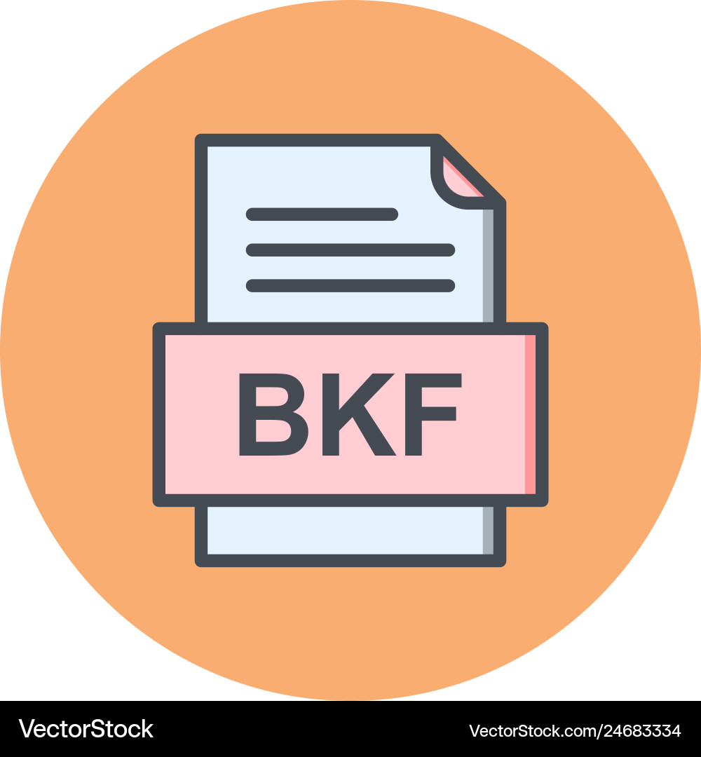 Bkf file document icon Vector Image