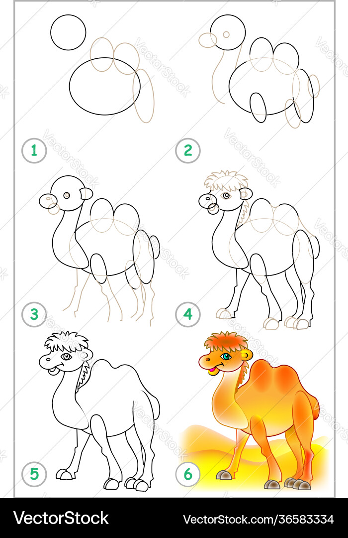 Page shows how to learn step draw Page shows how to learn step draw vector image