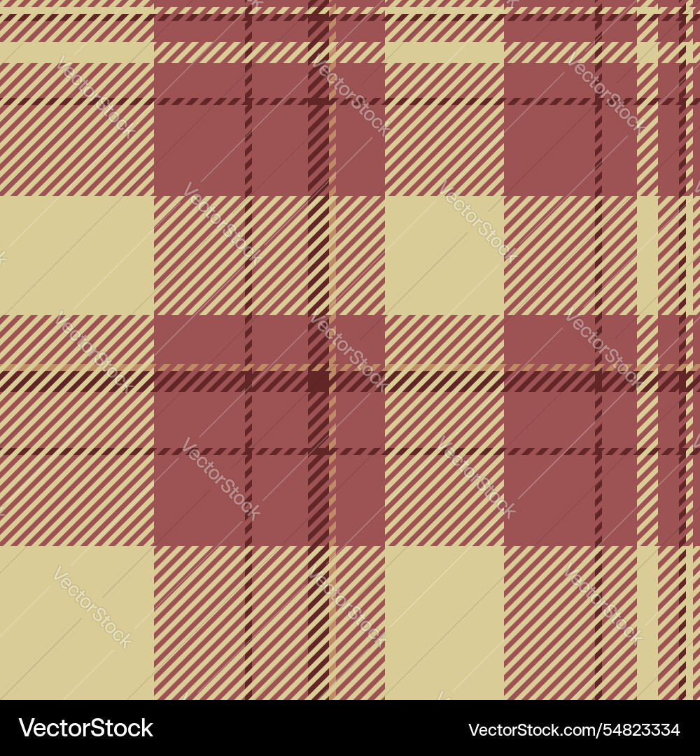 Tee texture background check stripe pattern plaid Vector Image