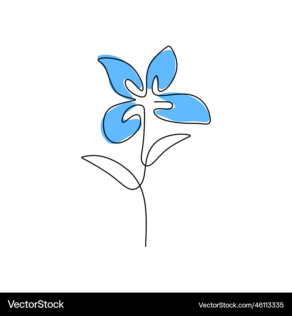 One continuous single line of iris spring flower One continuous single line of iris spring flower vector image