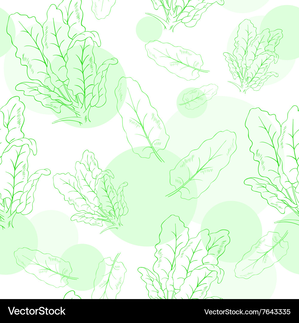 Seamless pattern with spinach and its leafs vector image