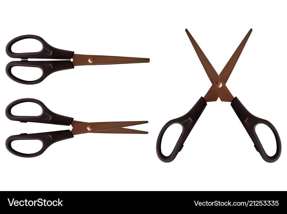 Set of 3 scissors realistic Vector Image