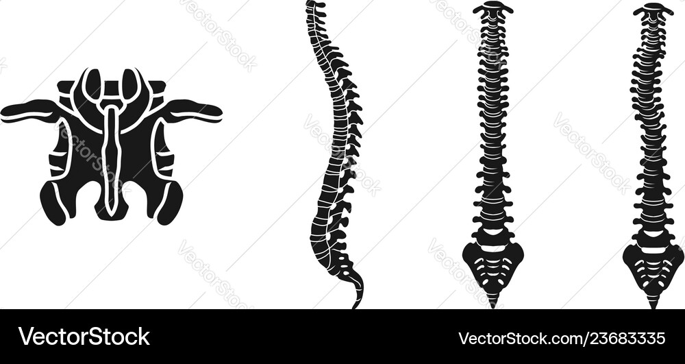 Spine icons set simple style Spine icons set simple style vector image