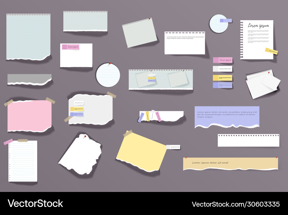 Torn sheets notebook vector image