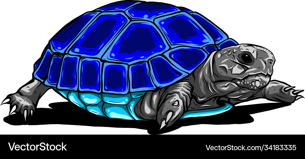 Tropische Schildkröte Tropische Schildkröte vektorbild