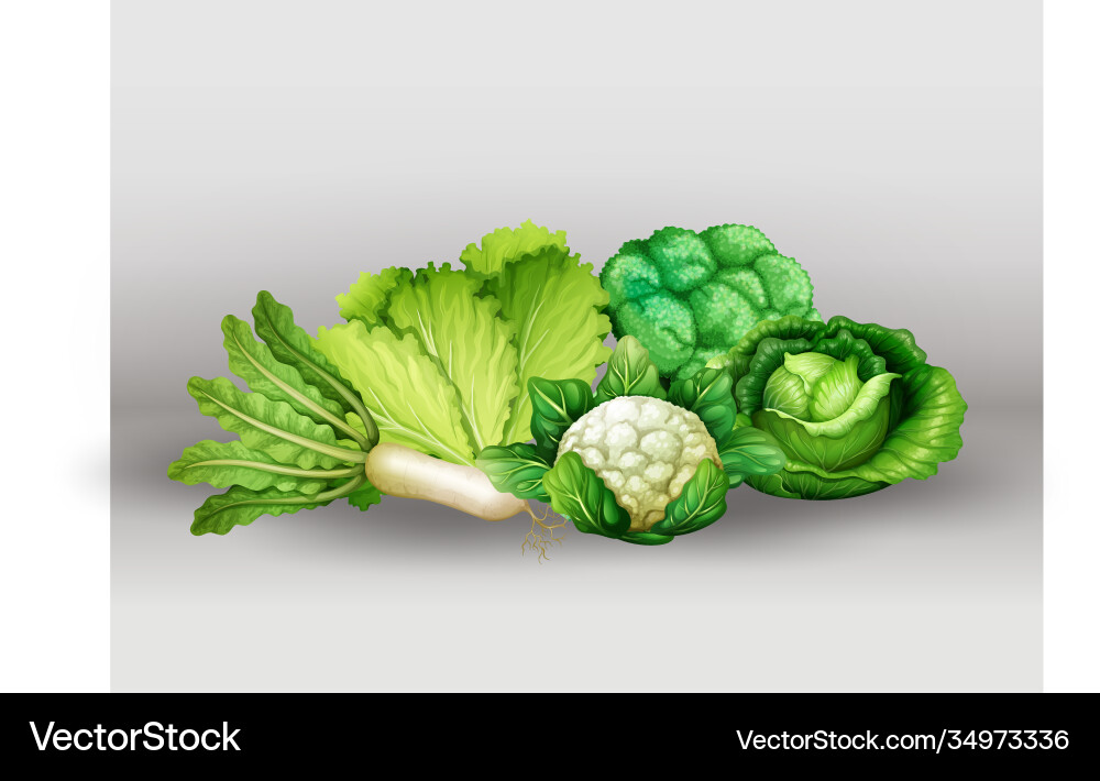 Many different vegetables in a group Vector Image