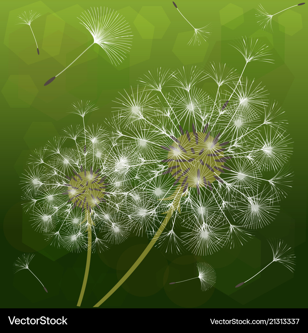 Abstract background of a dandelion for design Abstract background of a dandelion for design vector image