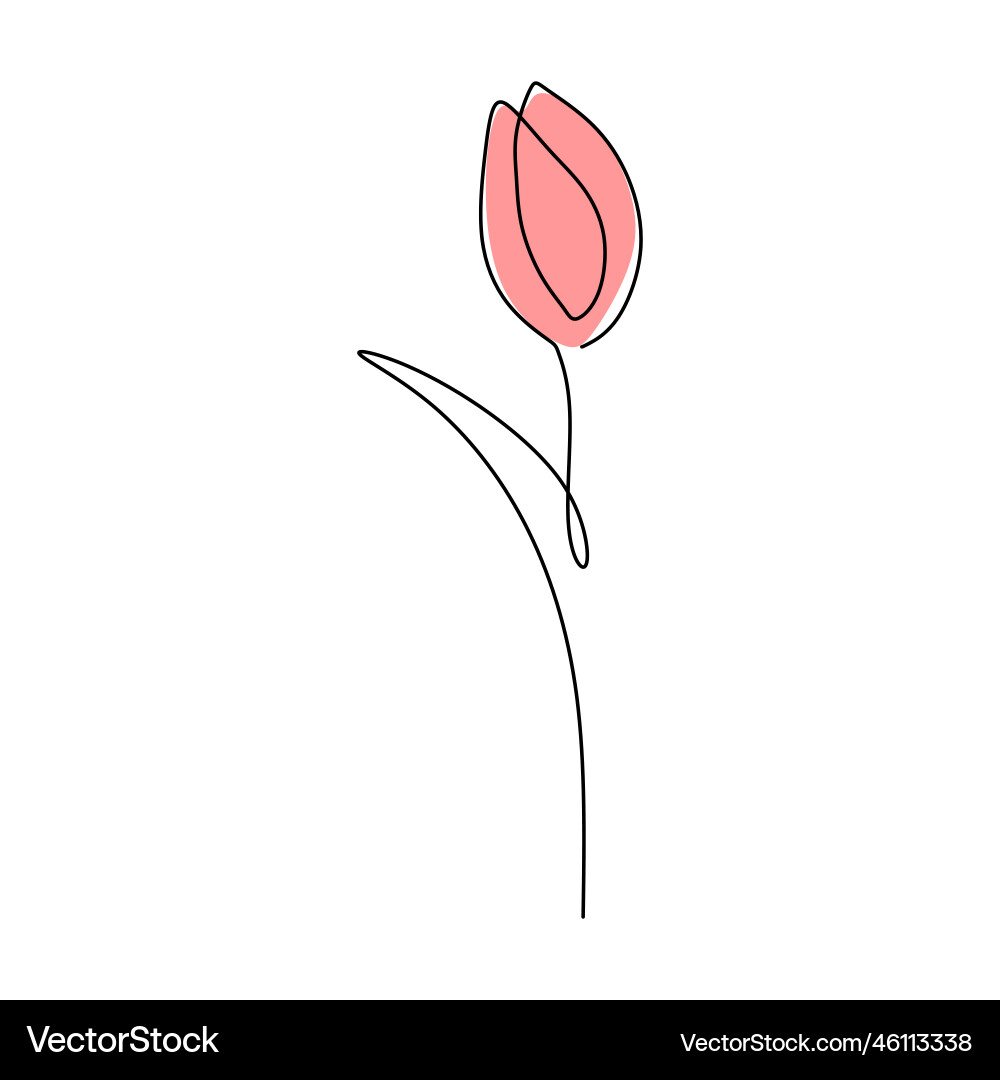 One continuous single line of tulip spring flower Vector Image