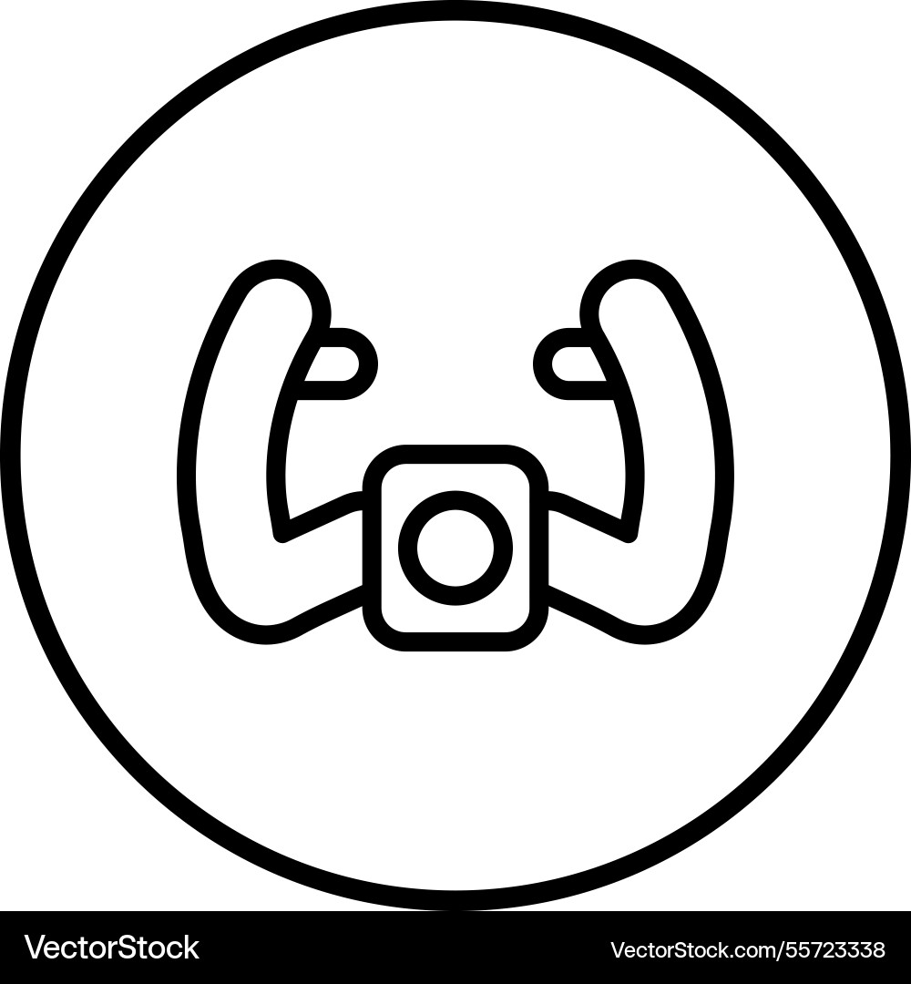 Plane handle icon design Vector Image