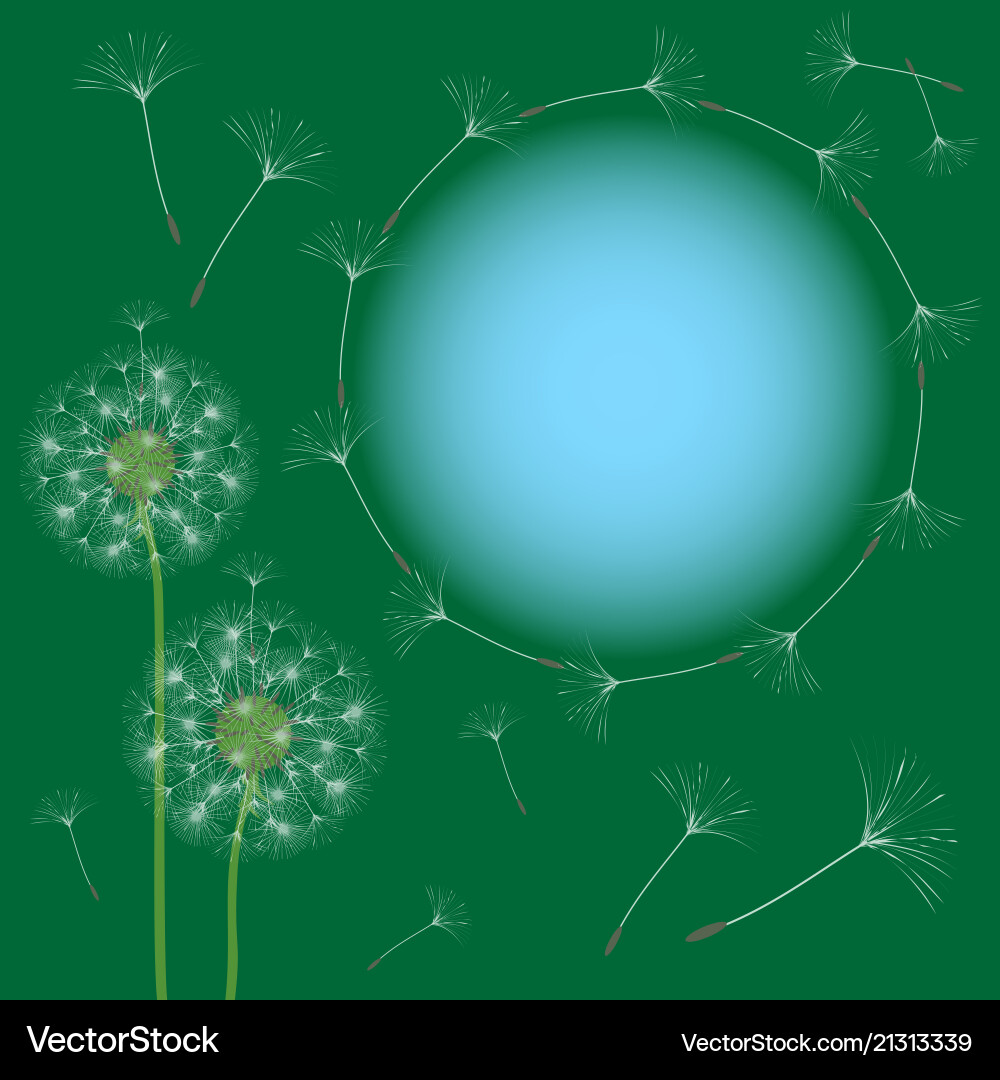 Abstract frame of a dandelion for design Abstract frame of a dandelion for design vector image