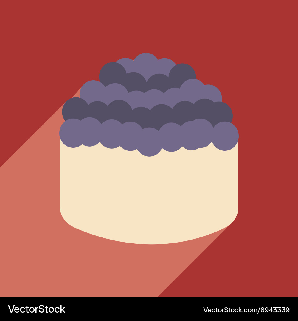 Flat with shadow icon and mobile application sushi vector image