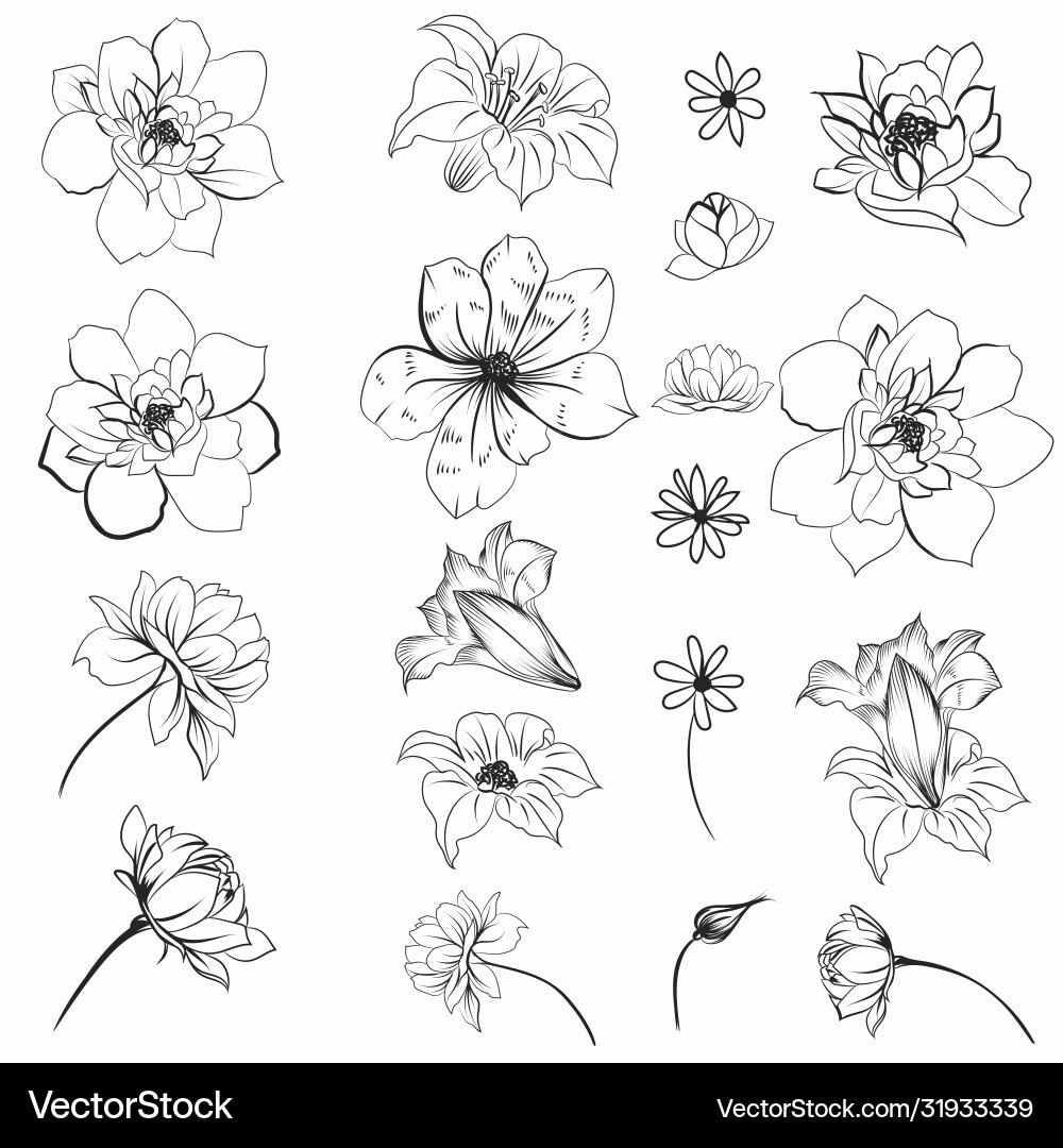 Kollektion Blumen für Design Kollektion Blumen für Design vektorbild