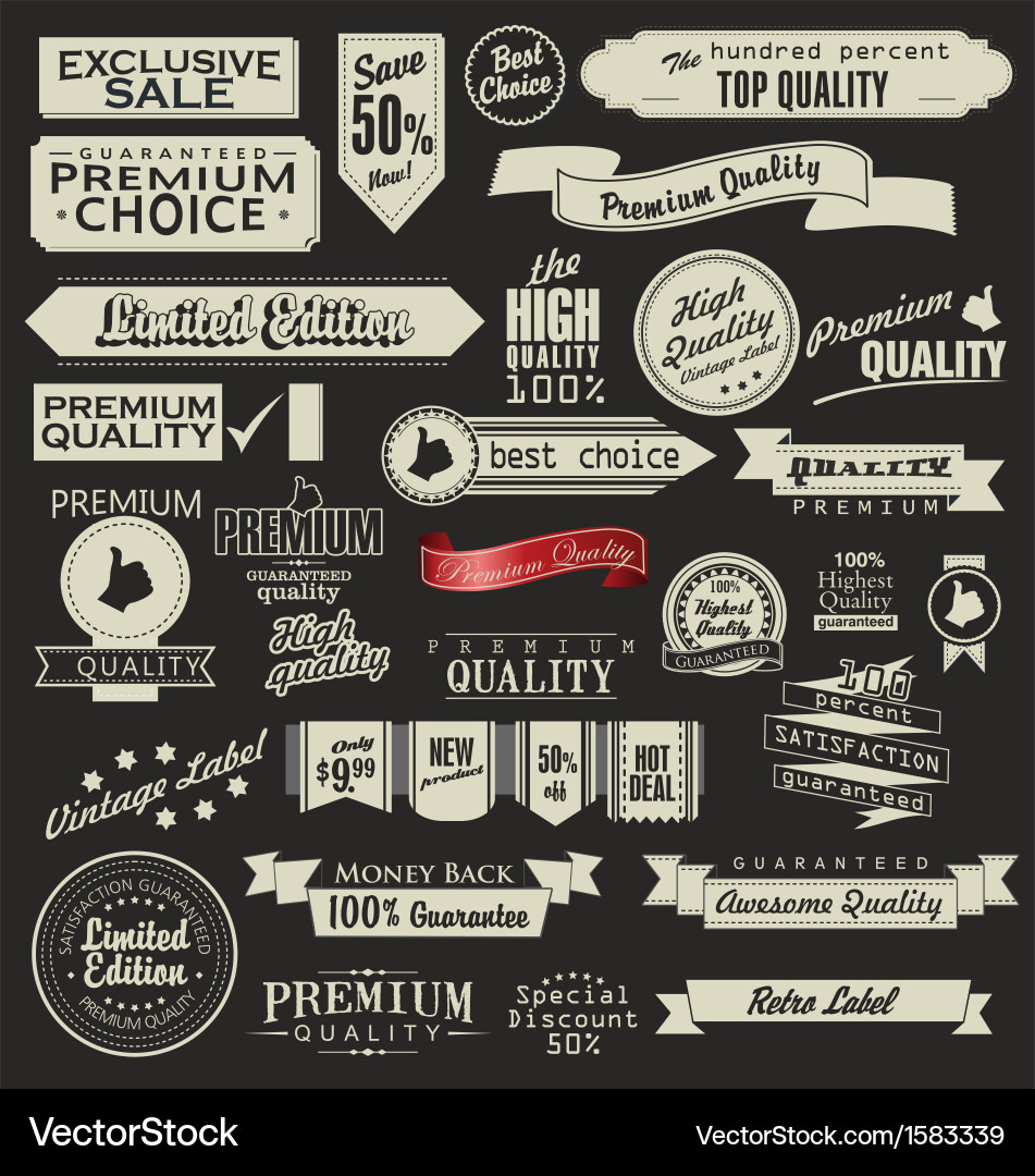 Set of retro vintage labels vector image