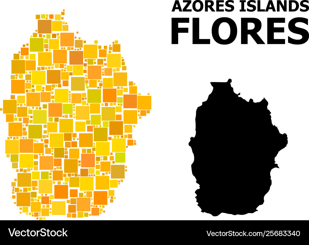 Golden square pattern map azores - flores Vector Image