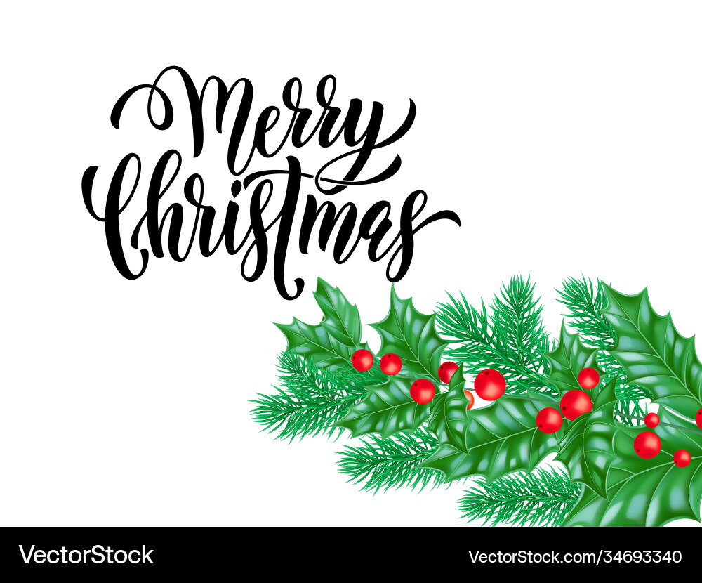 Merry christmas holiday hand drawn quote vector image