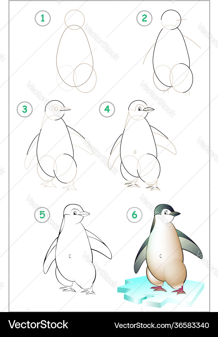 Page shows how to learn step draw Page shows how to learn step draw vector image