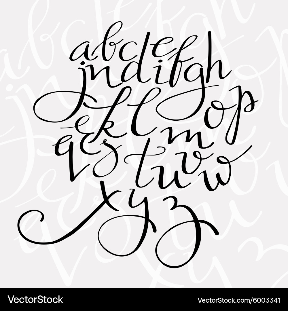 Elegant Flourish Script Font vector image