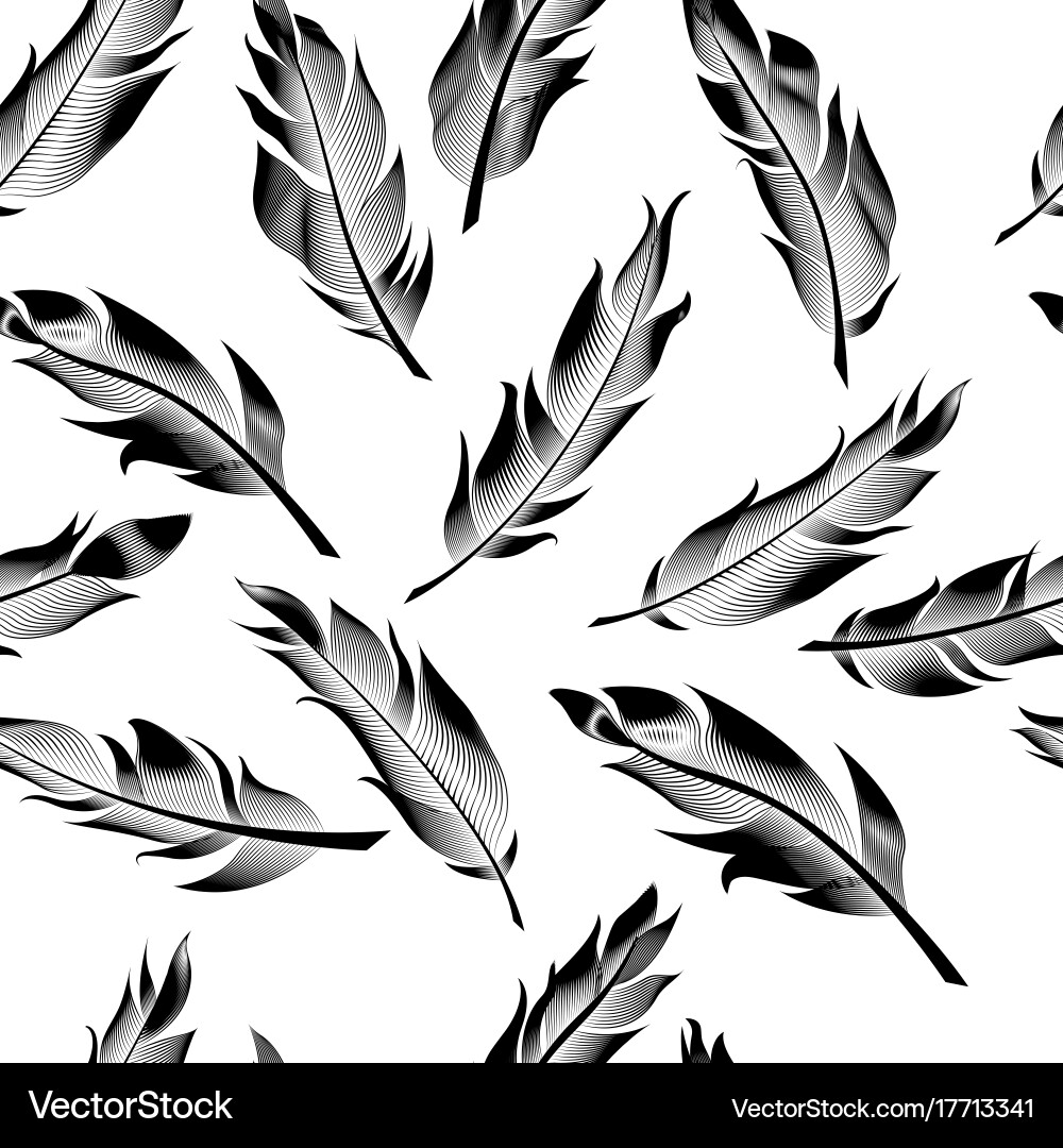 Seamless outline feathers linear pattern Vector Image