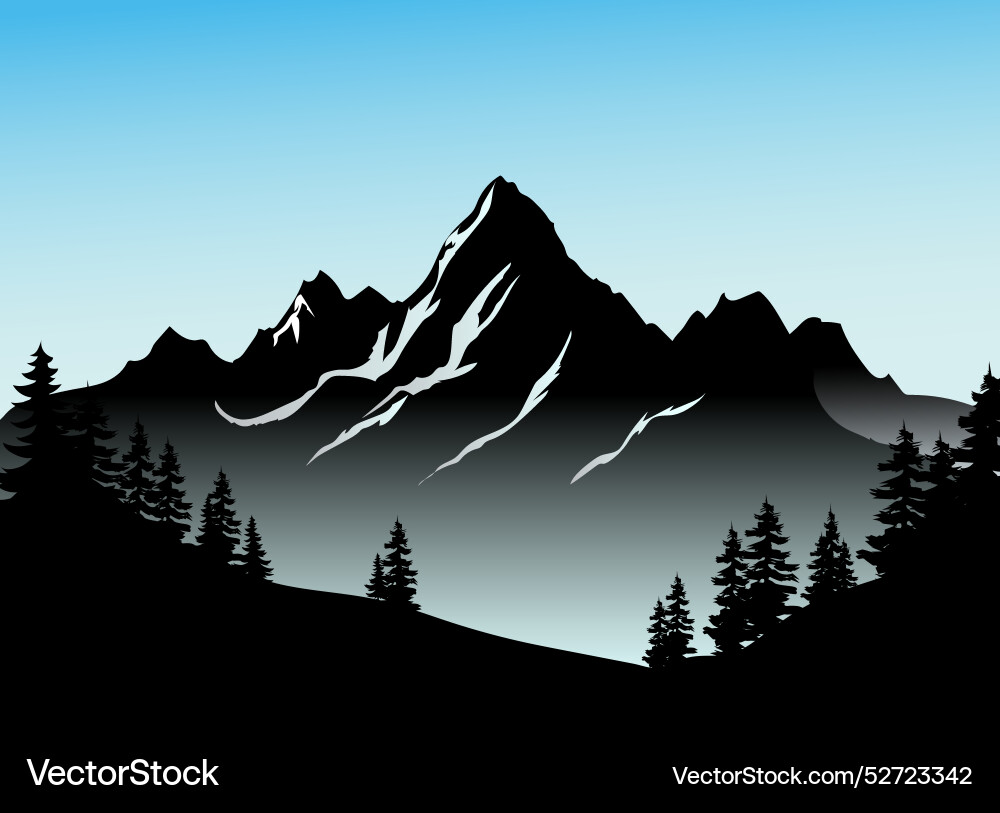 Pine tree view Royalty Free Vector Image - VectorStock