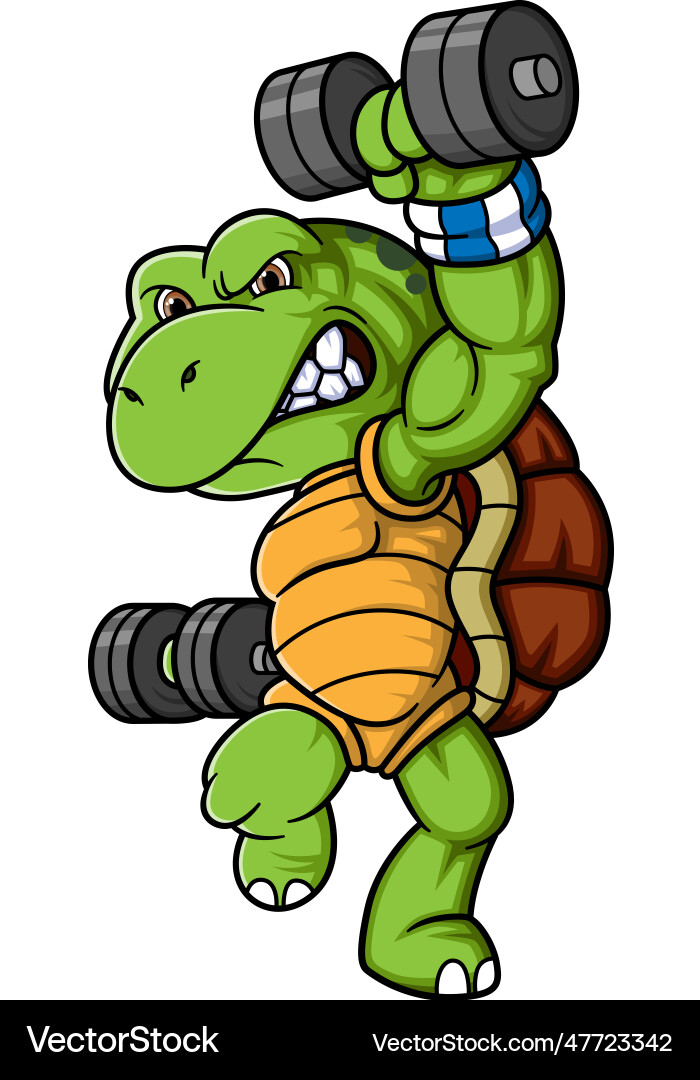 Turtle character with dumbbell weights pose Turtle character with dumbbell weights pose vector image