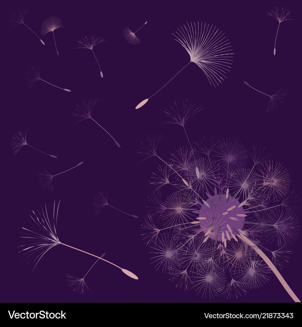 Abstract background of a dandelion for design Abstract background of a dandelion for design vector image